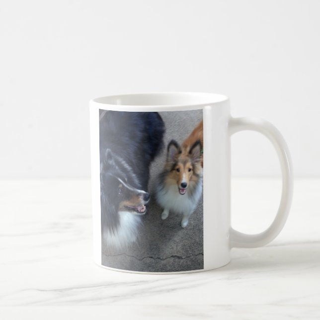 Café Taza de los compinches de Sheltie (Derecha)
