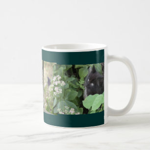 Café Taza de los gatitos
