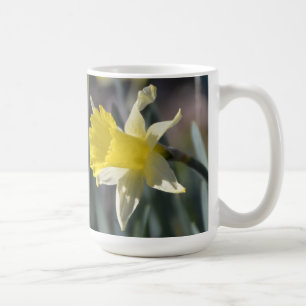 Café Taza de los narcisos