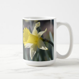 Café Taza de los narcisos