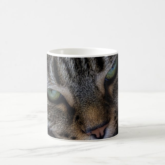 Café Taza de los ojos de gatos (Centro)