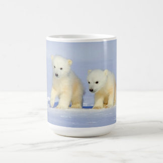 Café Taza de los osos polares