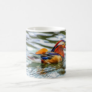 Café Taza de los pájaros - pato de mandarín