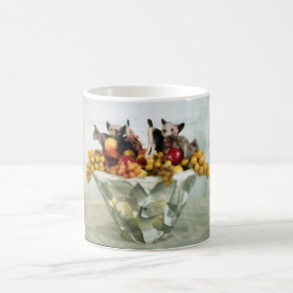 Café Taza de los palos de fruta