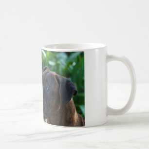 Café Taza de los perros y de las burbujas del boxeador