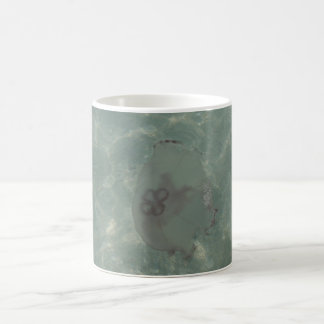 Café Taza de los pescados de jalea