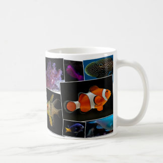 Café Taza de los pescados del acuario del agua salada -
