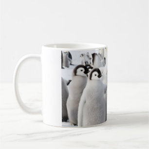 Café Taza de los polluelos del pingüino de emperador