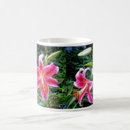 CAFÉ TAZA DE LOS STARGAZERS