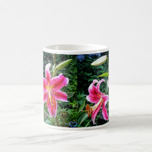 CAFÉ TAZA DE LOS STARGAZERS