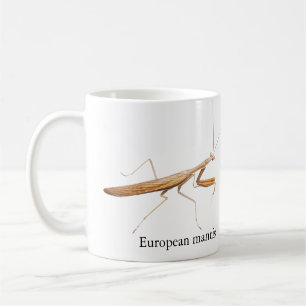 Café Taza de Mantis Europea