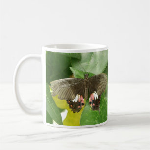 Café Taza de Mariposa Cola de Golondrina Escarlata