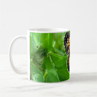 Café taza de mariposa Pearl Crescent ©️dh26