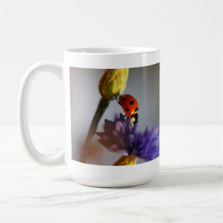 Café Taza de mariquita
