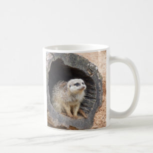 Café Taza de Meerkat