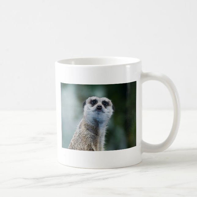 Café Taza de Meerkat (Derecha)