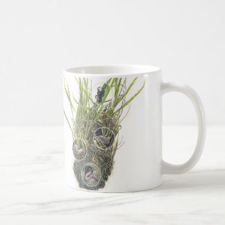 Café Taza de Microhabitat