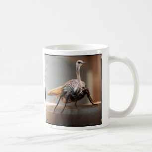 Café Taza de Mothstrich