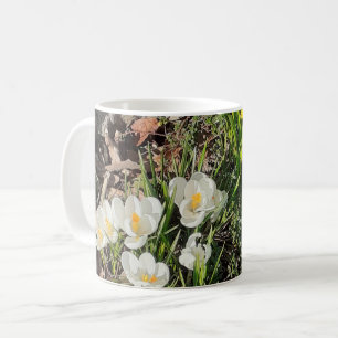 Café Taza de narcisos y crocus