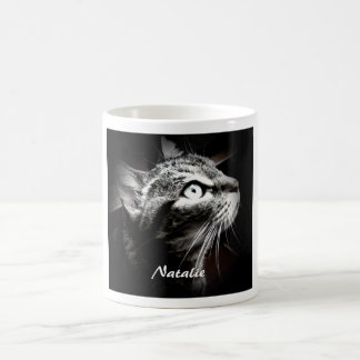 Café Taza de Natalie