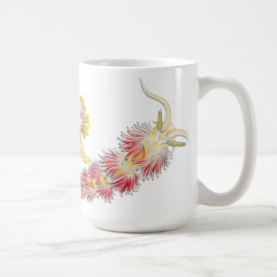 Café Taza de Nudibranch