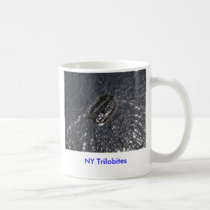 Café Taza de NY Trilobites