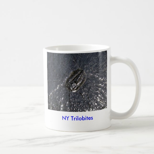 Café Taza de NY Trilobites (Derecha)