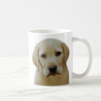 Café Taza de oro del laboratorio