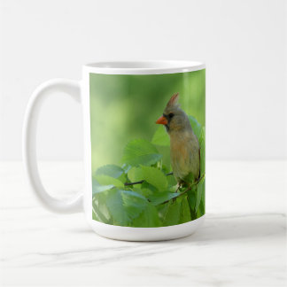 Café Taza de pájaro cardenal