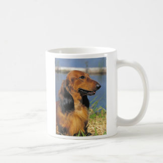 Café taza de pelo largo roja del dachshund