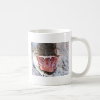 Café Taza de Pike