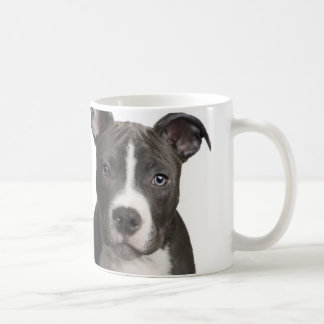 Café Taza de Pitbull