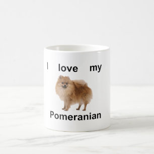 Café Taza de Pomeranian