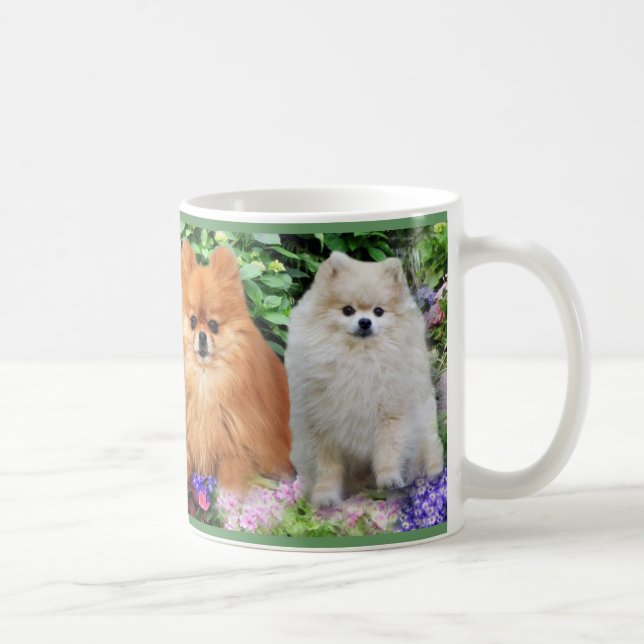 Café Taza de Pomeranian (Derecha)