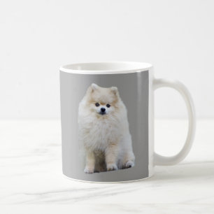 Café Taza de Pomeranian