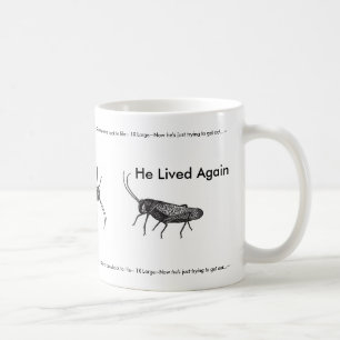 Café Taza de Quincy