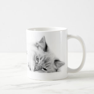 Café Taza de Ragdoll