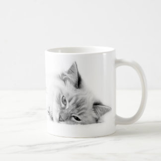 Café Taza de Ragdoll