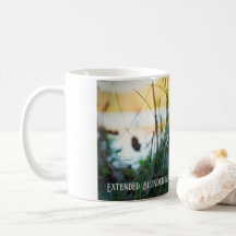 Taza de rana