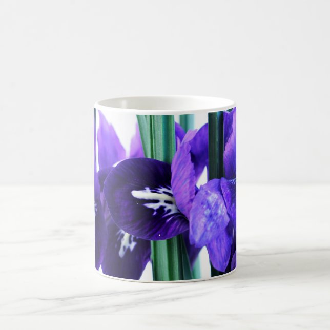 Café Taza de Reticulata del iris (Centro)