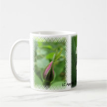 Taza de Rosa Botánica y Lirio de los Valles