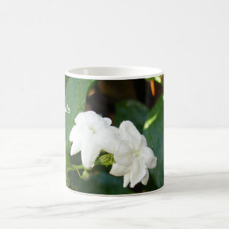 Café Taza de Sampaguita