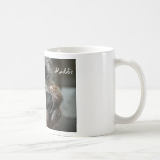 Café Taza de Schnoodle