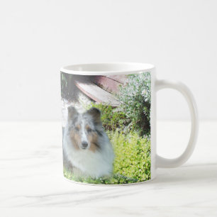 Café Taza de Sheltie