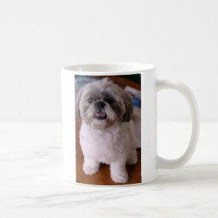 Café Taza de Shih Tzu
