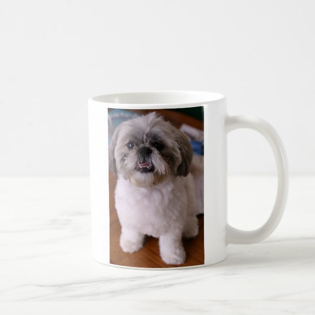Café Taza de Shih Tzu (Derecha)