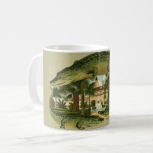 Café Taza de St. Augustine FL