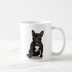 Café Taza de Staffordshire bull terrier