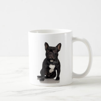 Café Taza de Staffordshire bull terrier