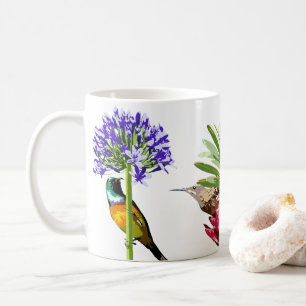 Café Taza de Sunbird